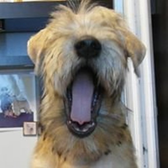 Meet your Posher, David - Picture 1 of 1